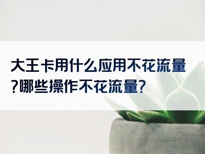 大王卡用什么应用不花流量？哪些操作不花流量？