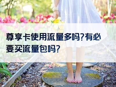 尊享卡使用流量多吗？有必要买流量包吗？