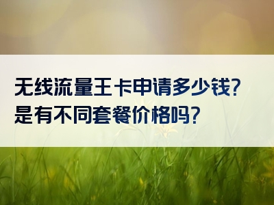 无线流量王卡申请多少钱？是有不同套餐价格吗？