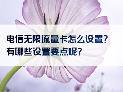 电信无限流量卡怎么设置？有哪些设置要点呢？