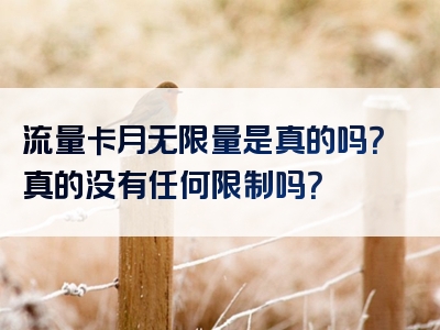 流量卡月无限量是真的吗？真的没有任何限制吗？