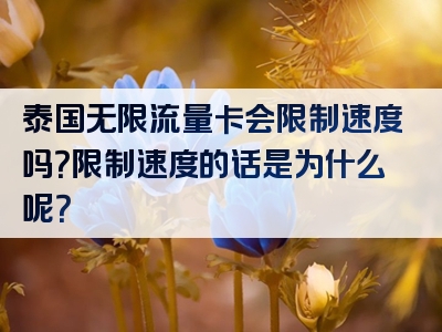 泰国无限流量卡会限制速度吗？限制速度的话是为什么呢？