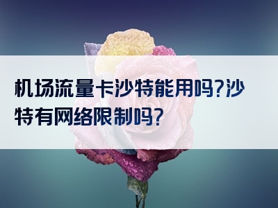 机场流量卡沙特能用吗？沙特有网络限制吗？