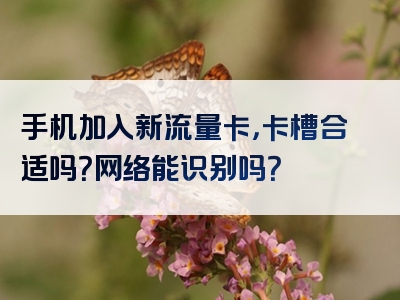 手机加入新流量卡，卡槽合适吗？网络能识别吗？