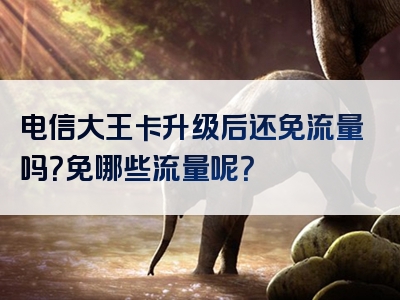 电信大王卡升级后还免流量吗？免哪些流量呢？