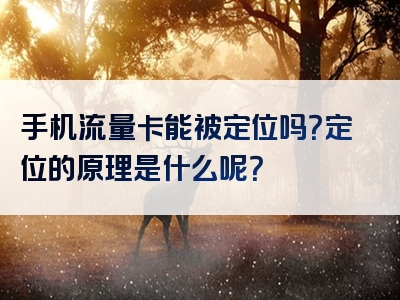 手机流量卡能被定位吗？定位的原理是什么呢？