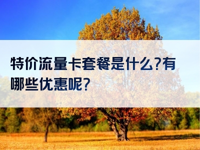 特价流量卡套餐是什么？有哪些优惠呢？