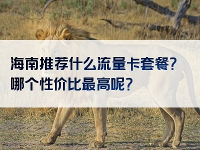 海南推荐什么流量卡套餐？哪个性价比最高呢？