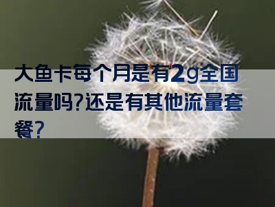 大鱼卡每个月是有2g全国流量吗？还是有其他流量套餐？