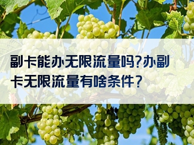 副卡能办无限流量吗？办副卡无限流量有啥条件？
