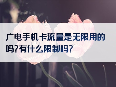 广电手机卡流量是无限用的吗？有什么限制吗？