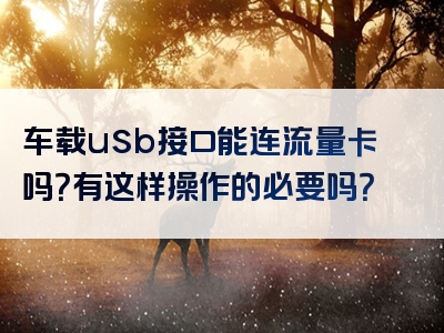 车载usb接口能连流量卡吗？有这样操作的必要吗？