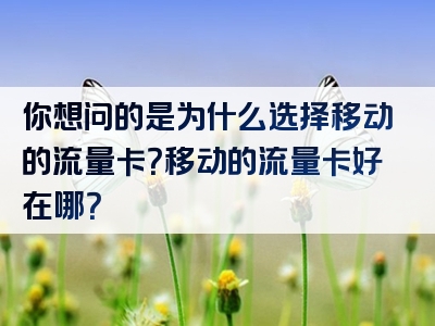 你想问的是为什么选择移动的流量卡？移动的流量卡好在哪？