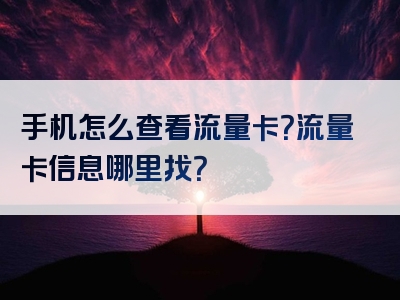 手机怎么查看流量卡？流量卡信息哪里找？