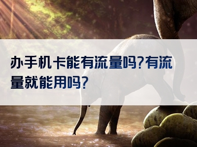 办手机卡能有流量吗？有流量就能用吗？