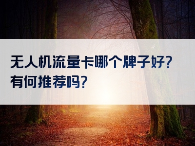 无人机流量卡哪个牌子好？有何推荐吗？