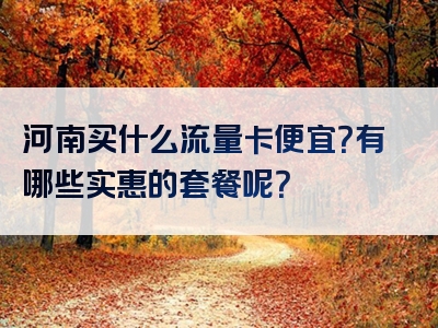 河南买什么流量卡便宜？有哪些实惠的套餐呢？
