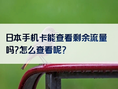 日本手机卡能查看剩余流量吗？怎么查看呢？