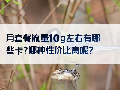 月套餐流量10g左右有哪些卡？哪种性价比高呢？