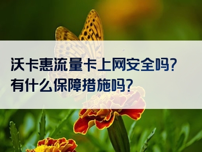 沃卡惠流量卡上网安全吗？有什么保障措施吗？