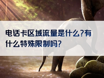 电话卡区域流量是什么？有什么特殊限制吗？