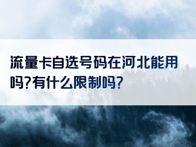 流量卡自选号码在河北能用吗？有什么限制吗？