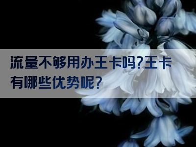 流量不够用办王卡吗？王卡有哪些优势呢？