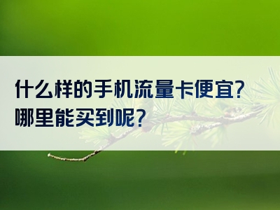 什么样的手机流量卡便宜？哪里能买到呢？