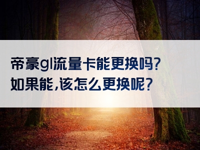 帝豪gl流量卡能更换吗？如果能，该怎么更换呢？