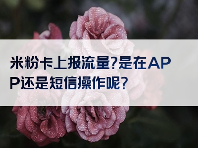 米粉卡上报流量？是在APP还是短信操作呢？