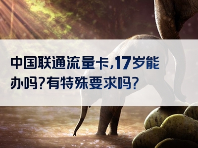 中国联通流量卡，17岁能办吗？有特殊要求吗？